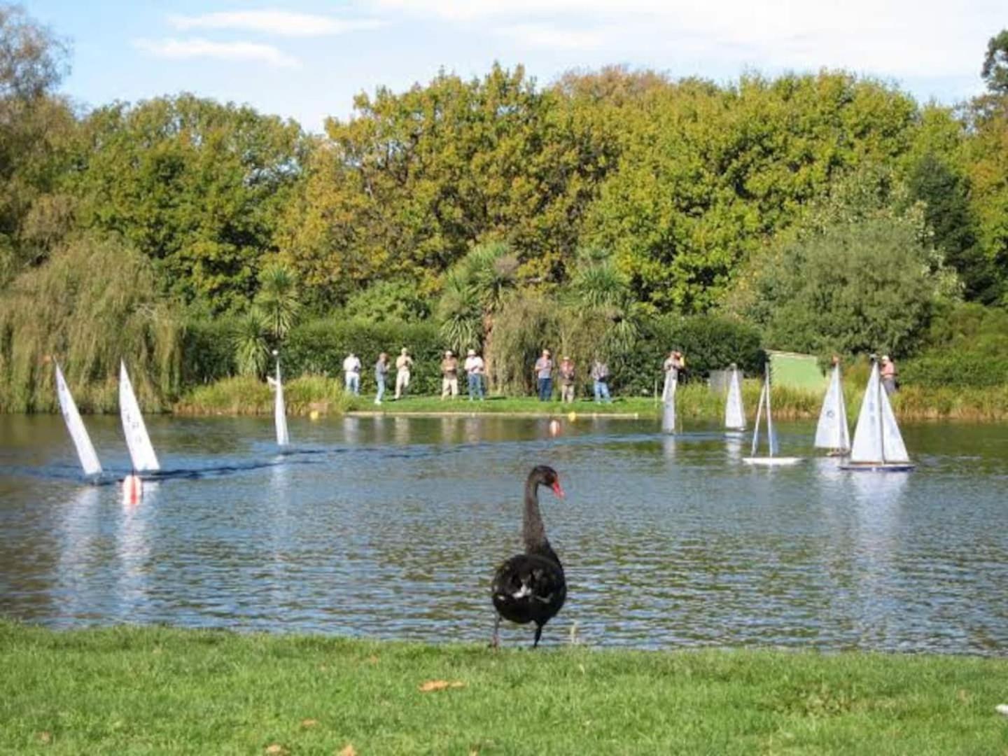 Hagley Park Hidden Gem Leilighet Christchurch Eksteriør bilde
