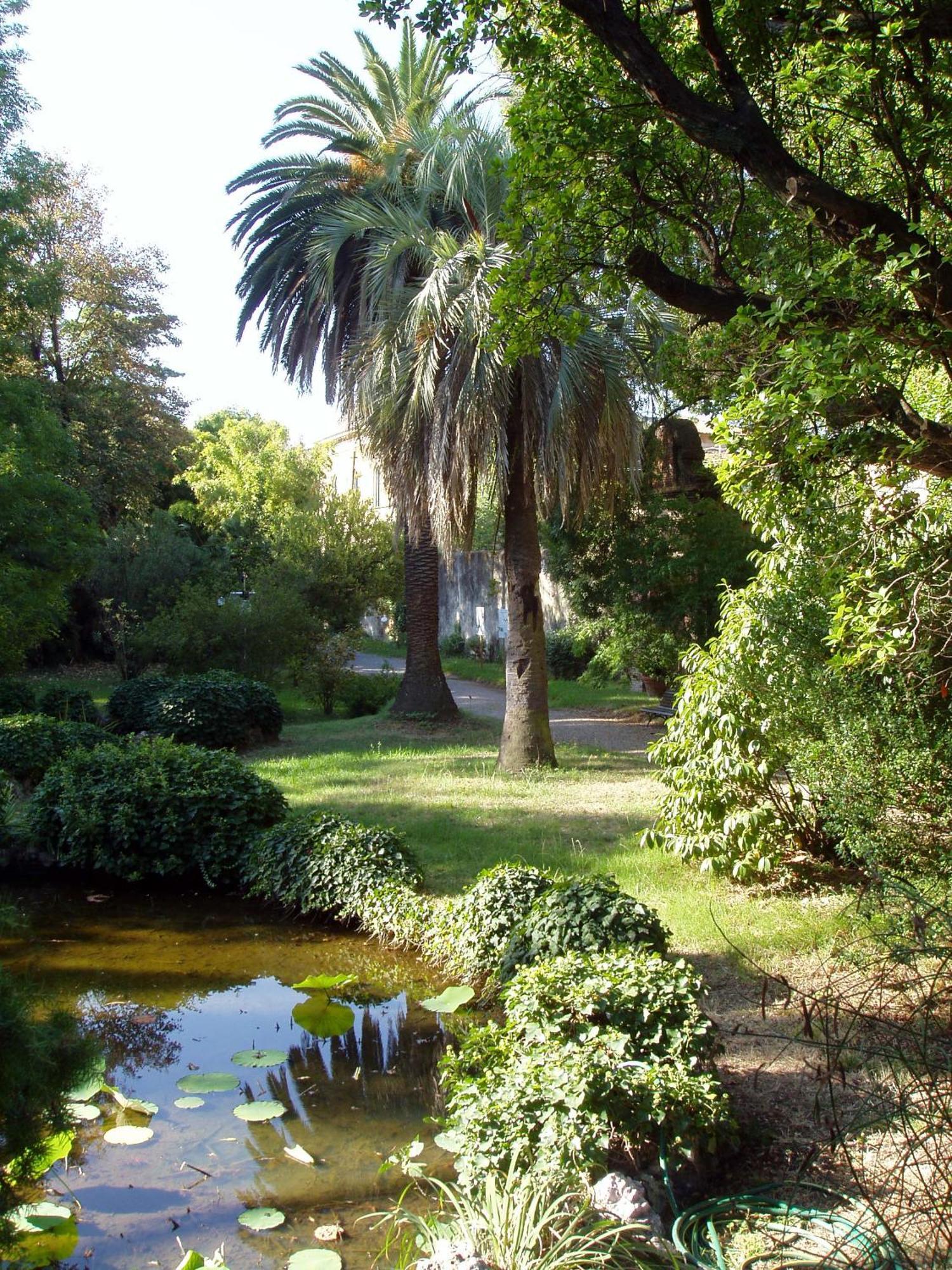 Hagley Park Hidden Gem Leilighet Christchurch Eksteriør bilde